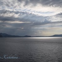 Природа Крыма :: Amazing Cosmea