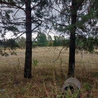 Talgar. :: Murat Bukaev 