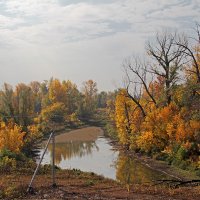 Осенние мотивы :: MILAV V