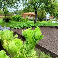 стройка дачного дома :: Владимир 