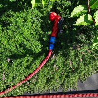 ПОЛИВ ЗАКОНЧЕН :: СЕРГЕЙ ФИЛОЧКИН