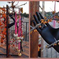 Флористические композиции на фестивале садов и цветов :: Татьяна Машошина