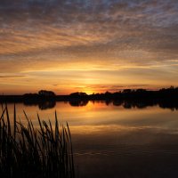 *** :: Владимир Безбородов