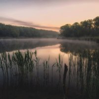 Можайский пруд. :: Егор Бугримов