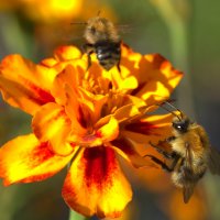 В очереди :: Вячеслав Минаев В очереди :: Вячеслав Минаев