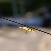 Воблер :: Андрей Зайцев