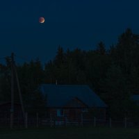 Лунное затмение :: Владимир Кириченко  wlad113