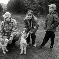 Встреча в лесу :: СЮ 