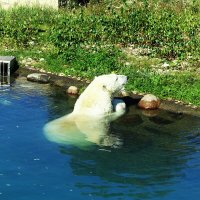 Любительница флоры.. :: Aida10 