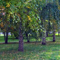 Приметы сентября (в парке) :: Татьяна Лютаева