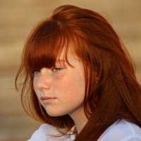 Рыжик :: Владимир59 Рыжик :: Владимир59