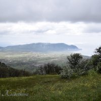 Природа Крыма :: Amazing Cosmea