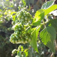 113 (128) :: CLOSE WAYS ALL