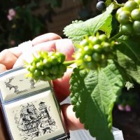 113 (130) :: CLOSE WAYS ALL