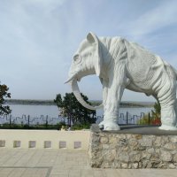 Самара. Дача Головкина. :: Надежда 