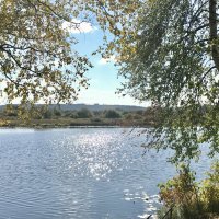 Тёплый день :: Татьяна 