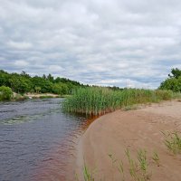 На берегу реки. :: Лия ☼