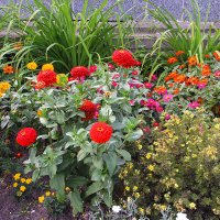 Витебск - центр. :: Роланд Дубровский Витебск - центр. :: Роланд Дубровский