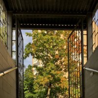 Проход в Бабье лето) :: Любовь 