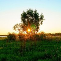 Солнце 6 :: Игорь Тельцов