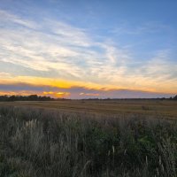 Поле у д.Выскодь :: Артем 