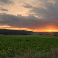 .. :: vladimir .. :: vladimir