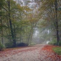 В парке :: Андроник Александр 