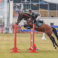 Конкур :: Анатолий Шумилин Конкур :: Анатолий Шумилин