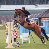 Конкур :: Анатолий Шумилин