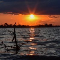 Глаз заката :: Grishkov S.M.