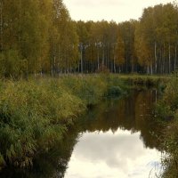 *** :: Aleksandr Gal