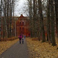 Осенние аллеи :: Ольга Осенние аллеи :: Ольга