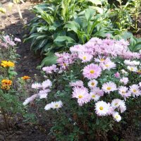 Осеннее :: Елена Семигина Осеннее :: Елена Семигина