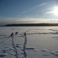 Через протоку на остров :: Anna Ivanova Через протоку на остров :: Anna Ivanova