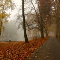 В туманном парке осень бродит :: Юрий. Шмаков
