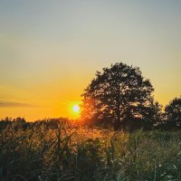 *** :: Игорь Чичиль