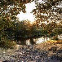 *** :: Игорь Чичиль