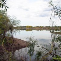 Уральск, Западный Казахстан, сентябрь в затоне имени Чапаева на реке Урал :: Александр Облещенко Уральск, Западный Казахстан, сентябрь в затоне имени Чапаева на реке Урал :: Александр Облещенко