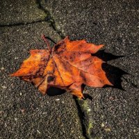 *** :: Любовь *** :: Любовь