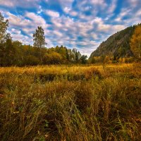 Тихое утро сентября. :: Юрий кот