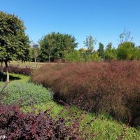 В ростовском экопарке Первая миля :: Нина Бутко