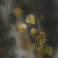 *** :: Сергей Сергеев