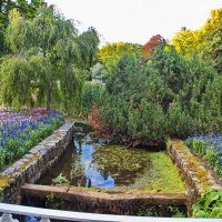 **** :: Witalij Löwin