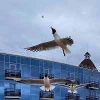 Предвкушение :: Владимир 