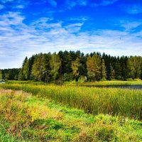 Природа Смоленщины в сентябре. :: Милешкин Владимир Алексеевич Природа Смоленщины в сентябре. :: Милешкин Владимир Алексеевич