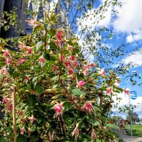 Вспомним лето ) :: Veera V