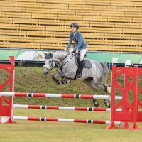 Полет :: Анатолий Шумилин