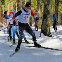 Марафон "Прощание со снегом 2025" :: Евгений Седов Марафон "Прощание со снегом 2025" :: Евгений Седов