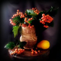 Осенние мотивы :: TAMARA КАДАНОВА