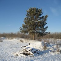 На острове :: Anna Ivanova На острове :: Anna Ivanova